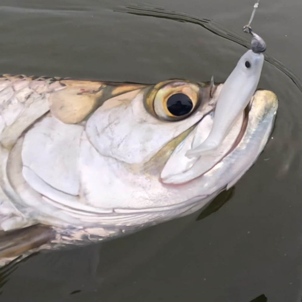 corporate clash better fishing pole Corporate Clash How to Upgrade Your Fishing Rod