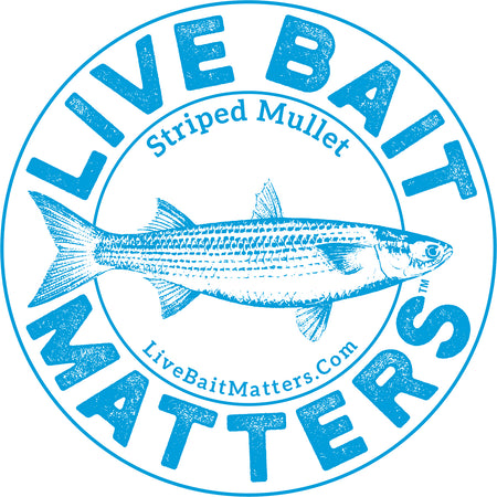 LIVE BAIT MATTERS