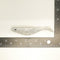 NEW. AATB 4" Paddletail Soft Plastic Pilchard/Shad - Silver Glitter - 20 or 40 pack - FREE SHIPPING
