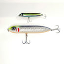 7" Big Dog Top Water (ORANGE BELLY)