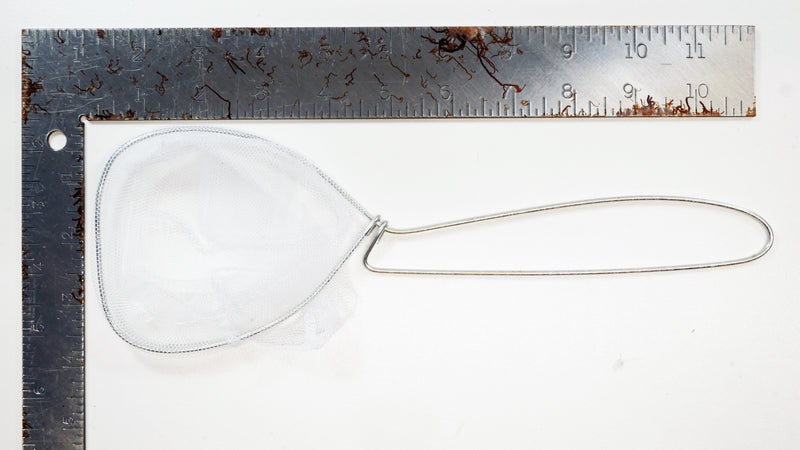 Bucket Bait Dip Net - 2 Pack