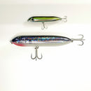 7" Big Dog Top Water (SARDINE)
