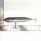 7" Big Dog Top Water (SARDINE)