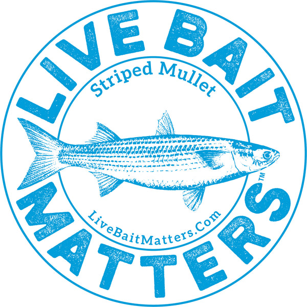 Live Bait Matters - Mullet 5" Round Sticker