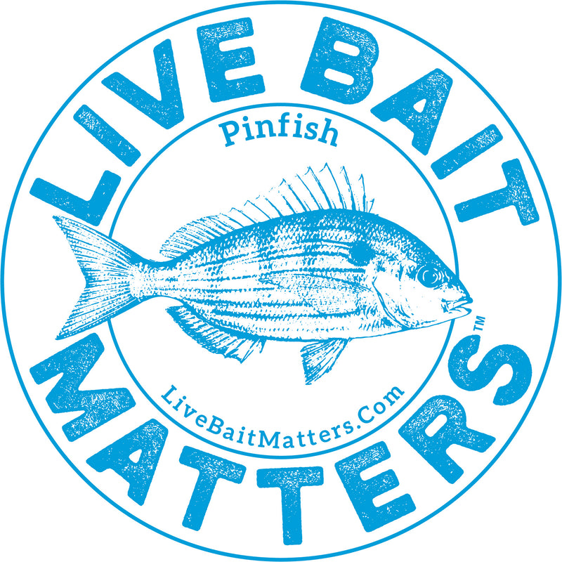 Live Bait Matters - Pinfish 5" Round Sticker